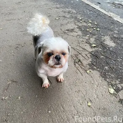 Пропал [тип] Оливер, Орджоникидзевский район