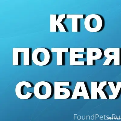 Пропала китайская хохлатая, Калужский Бор, Калуга