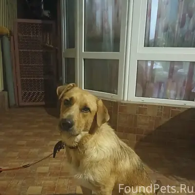 Пропал Малыш, Кудепста