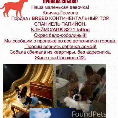Пропала собака, Красноперекопский район
