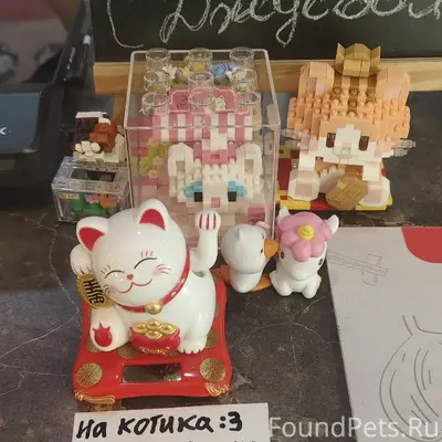 Пропали кошки, г. Электросталь, тц «Парк Плаза»