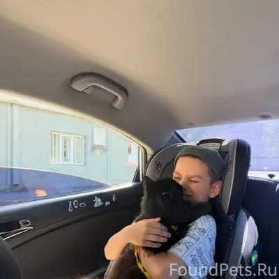 Пропала кошка Дуся, Южный посёлок