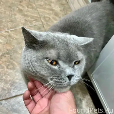 Пропал британец Семик, улица Клочихина