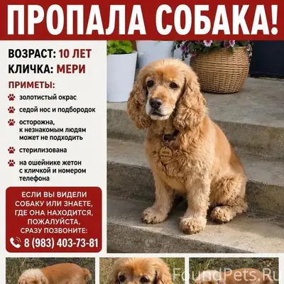Пропала собака, Заларинский район
