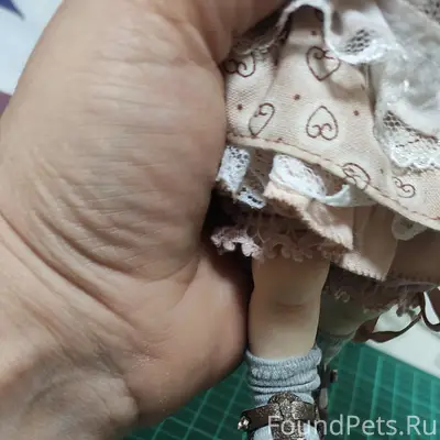 Пропал кот