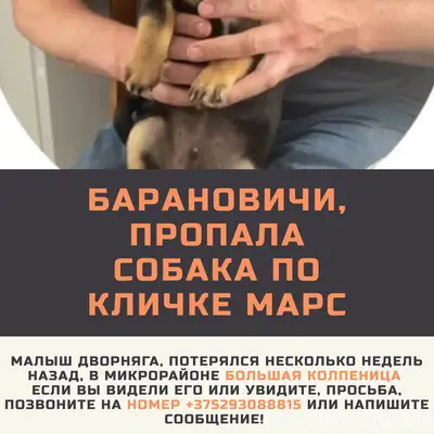 Пропал друг Марс