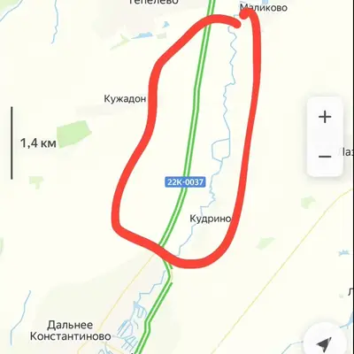 Найден коричневый такса, Дальнее Константиново