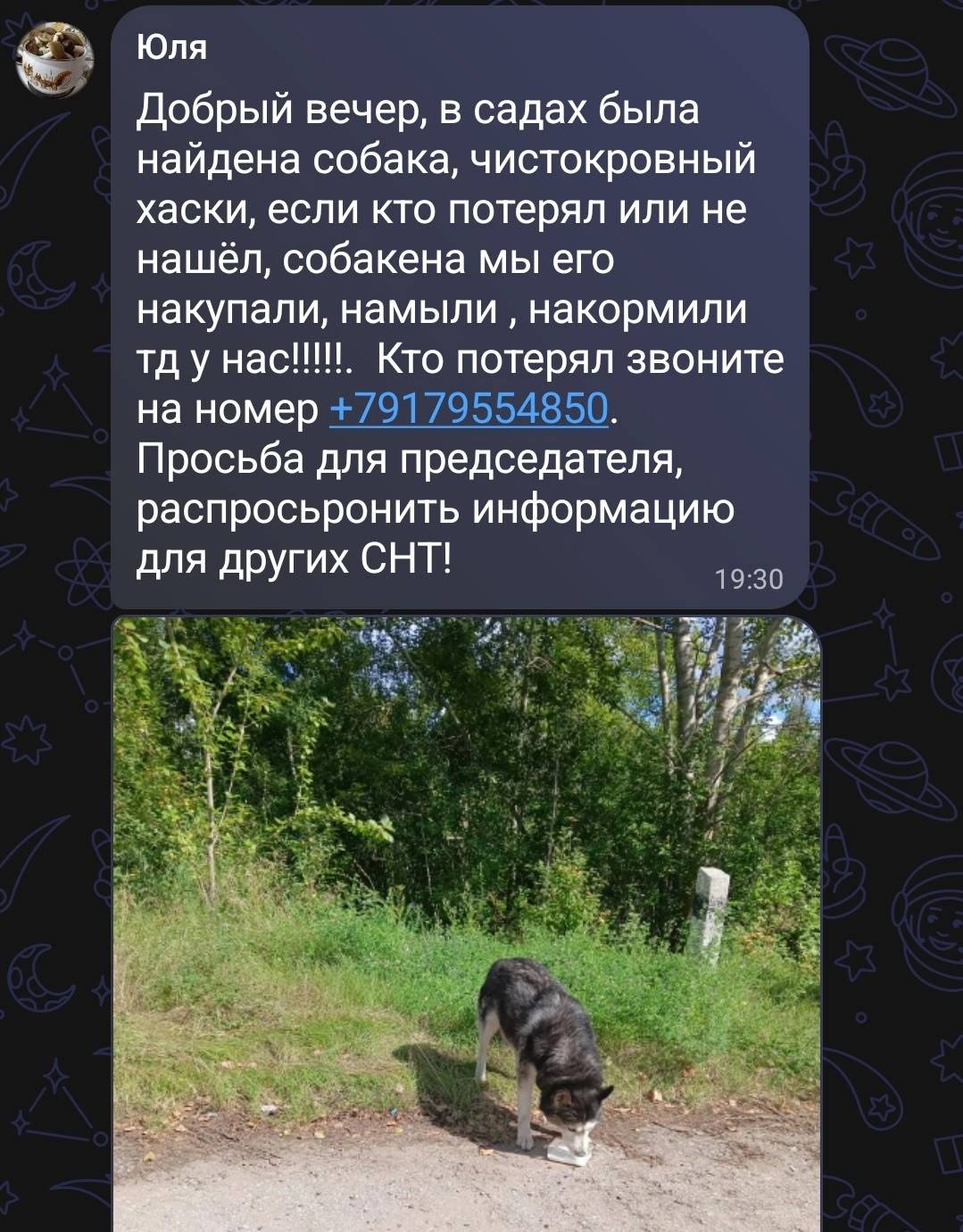Найден хаски, район Малой Царевщины