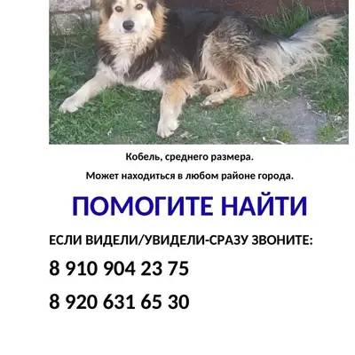 Пропал Хват, Олимпийский городок