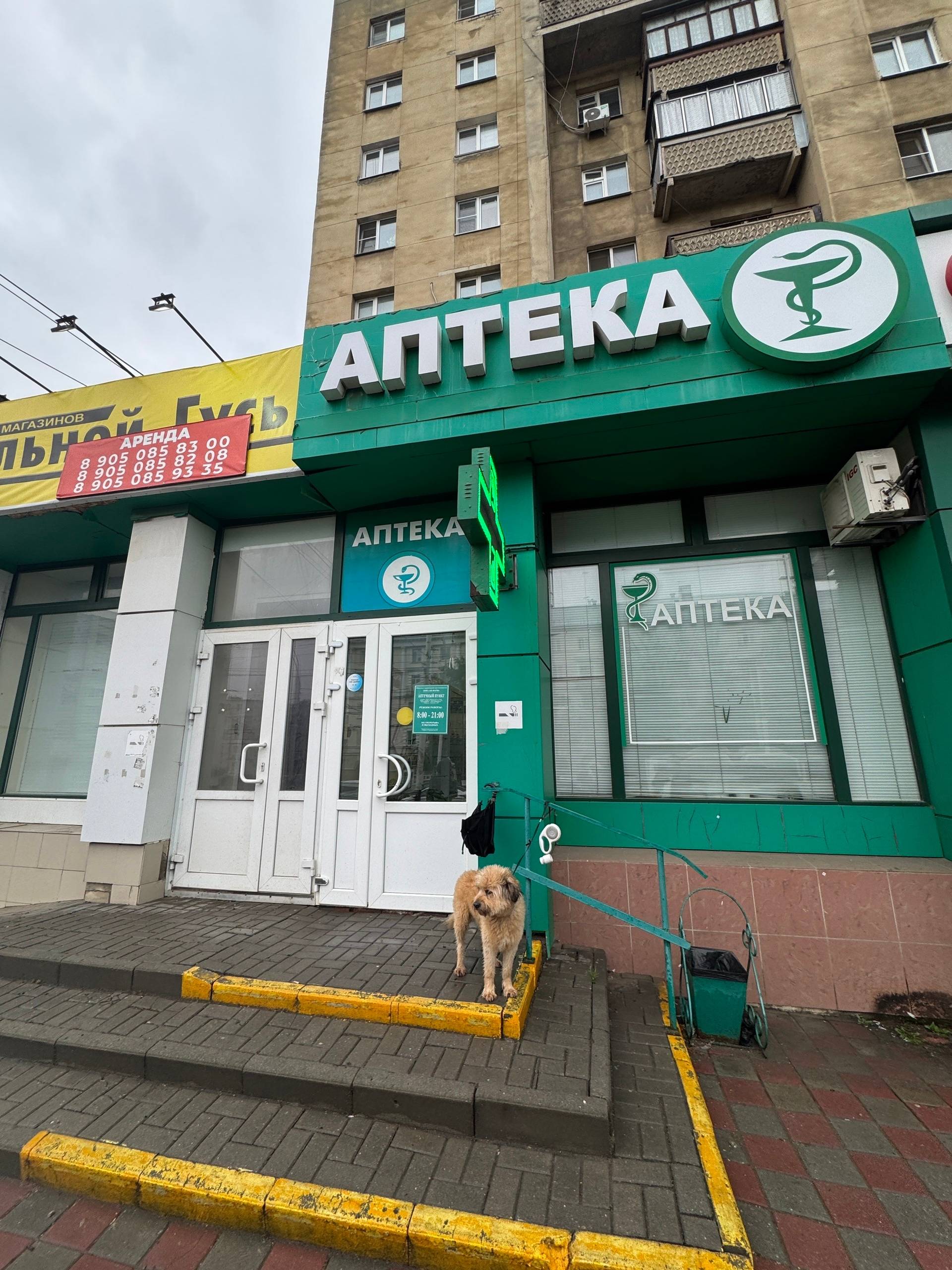 Пропала собака, Тамбов, Советская улица