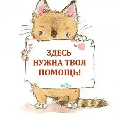 Пропал серый котёнок, у садика «Малыш»
