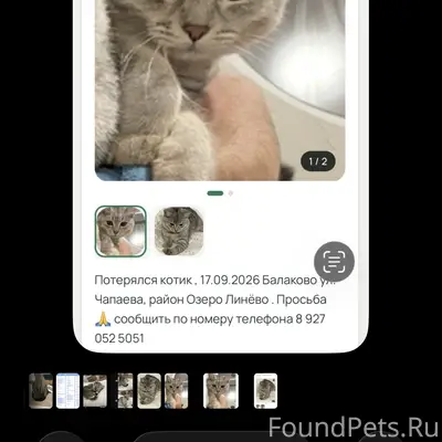 Пропал Коти Беляш , район Озеро Линёво
