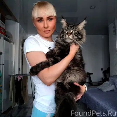 Пропал майн кун Бакс
