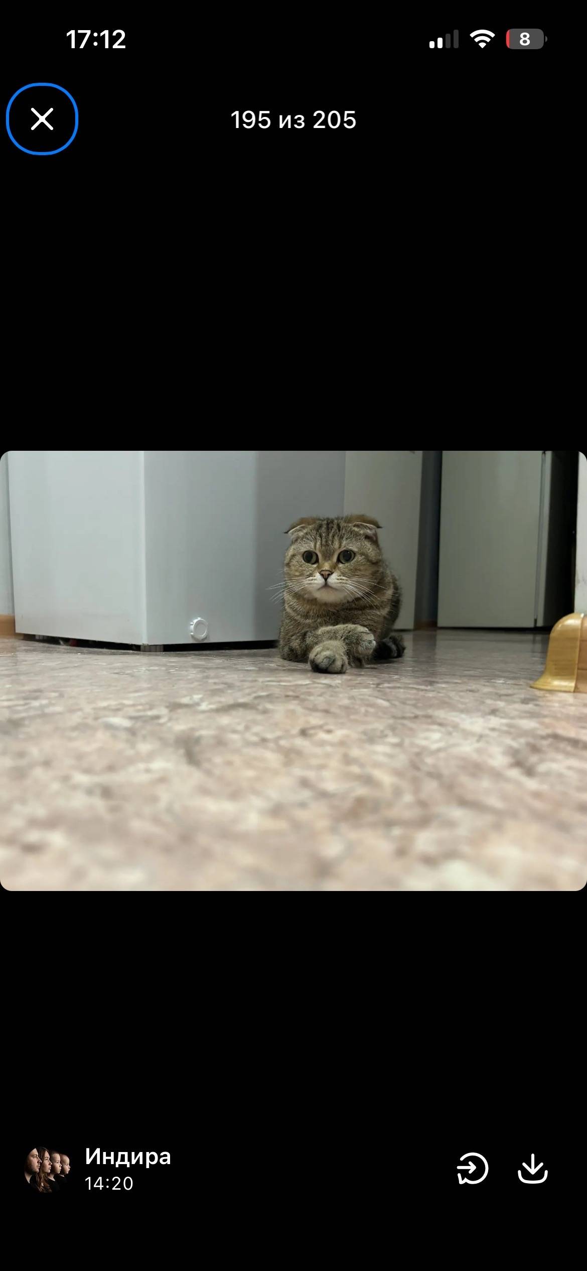 Пропала кошка, Октябрьский район