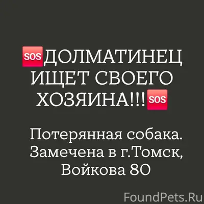 Найден Долматинец