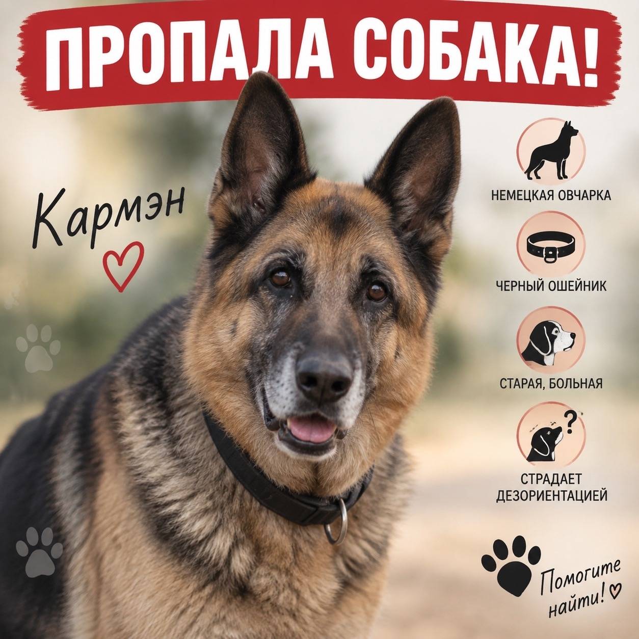 Пропала немецкая овчарка Кармэн, ЖК Малино