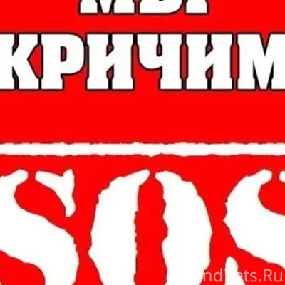 Найден щенок, Каменск
