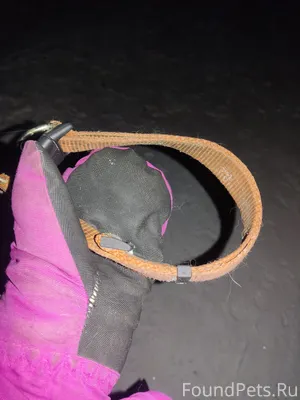 На лыжне за гаражами на Олимпи...