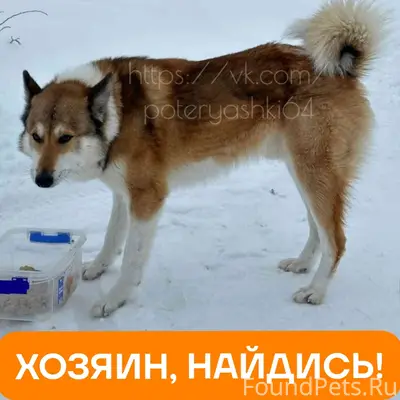 Саратовская область, Воскресен...