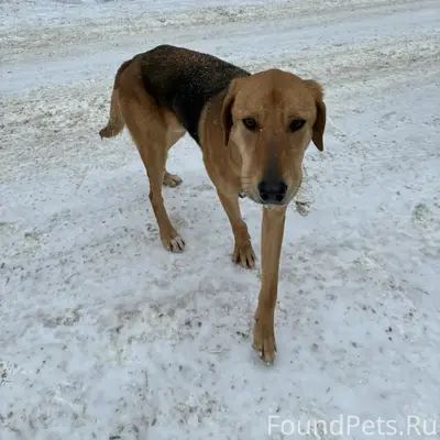Всем доброго дня. Сегодня в ра...