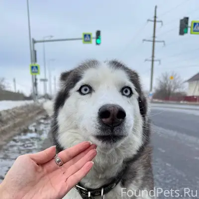 Друзья, прошу максимального ре...