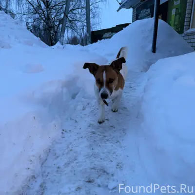 В Березовке на ул Комсомольска...