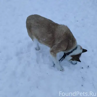 Добрый вечер! Может у кого то....