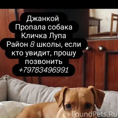 ❗❗❗❗❗ ПОМОГАЮ ИНФОРМАЦИОННО ❗ ...