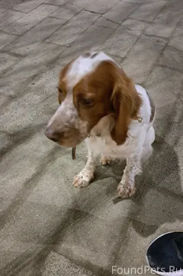 Краснодар. Пересечение Стасова...