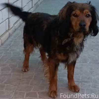 Репост пожалуйста!!!! Евпатори...