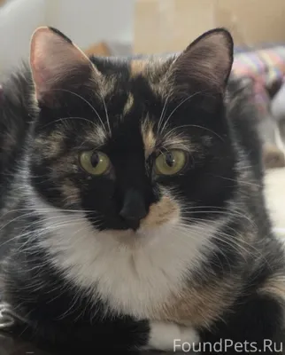 Добрый день Увы, срочно💌 в пои...