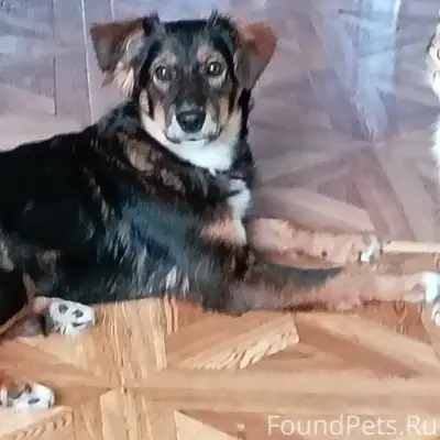 11.02.26 на южном не...