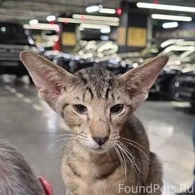 🆘Максимальный репост. НАЙДЕН К...