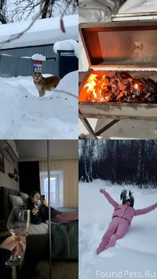 Мы шли в лес через частный...