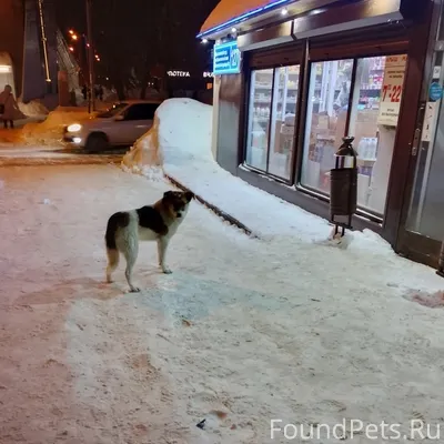 Ягодная Слобода, Кировский рай...