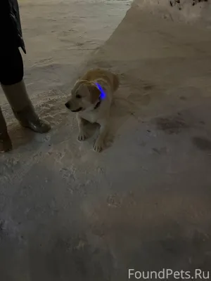 Серпухов., р-н Бумажной фабрик...