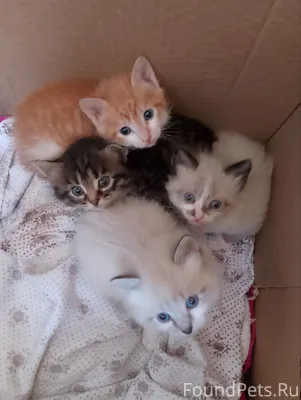 Помогите найти дом!!! На произ...