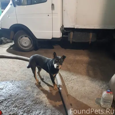 Здравствуйте, опубликуйте пожа...