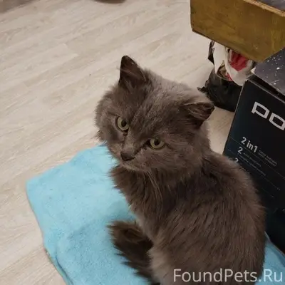 СРОЧНО! г. Уфа 11 февраля 2026...