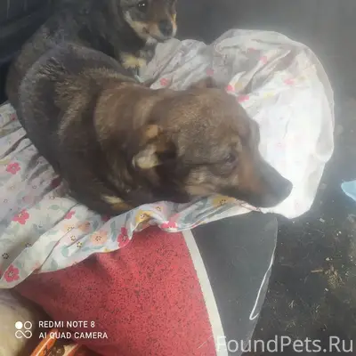 🆘🆘🆘В коробке выбросили ооочень...