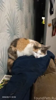 Внимание, Кресты, Военный горо...