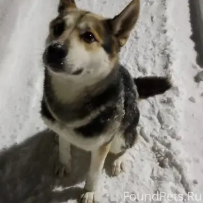 ❗️❗️❗️ЧЬЯ ПОТЕРЯШКА ❗️❗️❗️ Вто...