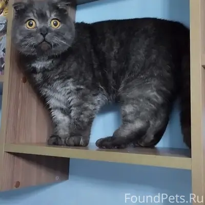 МО, г.Талдом, мкр.Юбилейный В....