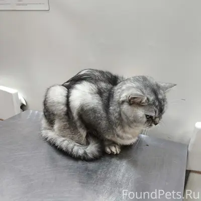 Балашиха мкр Железнодорожный м...