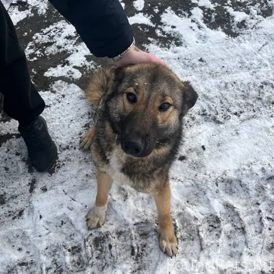 На сланцевском ж/д переезде вт...