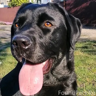 Год назад я узнал, что это...