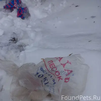 Сегодня около 10:00 на останов...