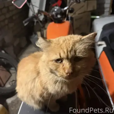 Добрый день. Выложите пожалуйс...