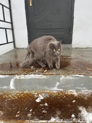 ❗️г. Александров. К магазину в...