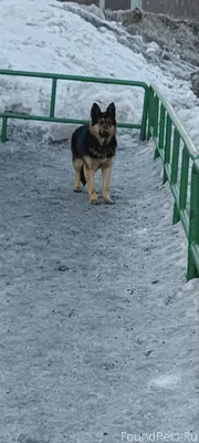 Друзья. в редаково - в районе ...